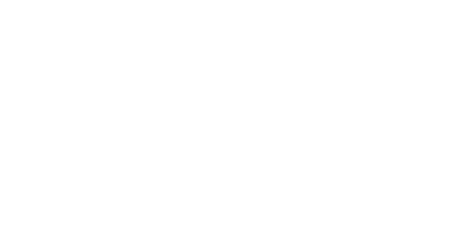 GSI Commerce